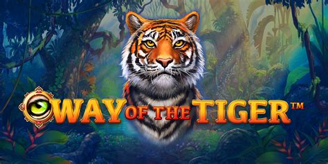 Way Of The Tiger Review 2024