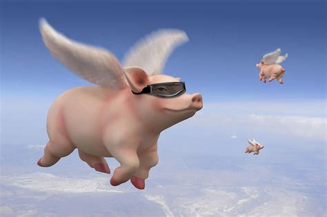 When Pigs Fly Leovegas