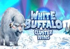 White Buffalo Cluster Wins Brabet