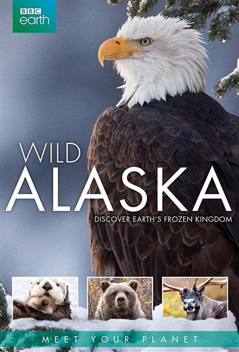 Wild Alaska Novibet