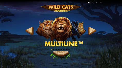 Wild Cats Multiline Review 2024