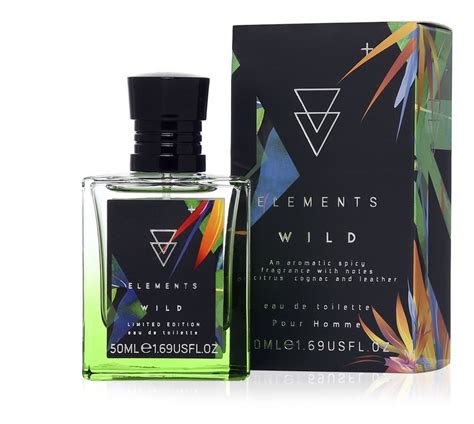 Wild Elements Review 2024