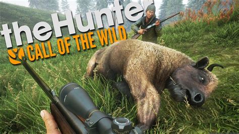 Wild Hunter Brabet