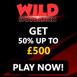 Wildspinner Casino Login