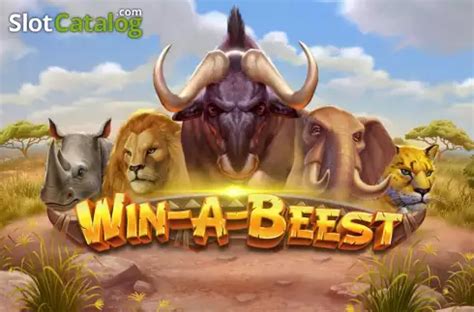 Win A Beest Review 2024
