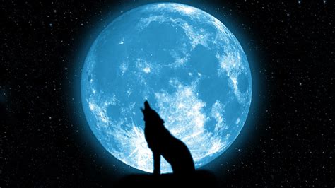 Wolf Moon 1xbet