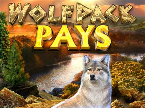 Wolfpack Pays Bet365