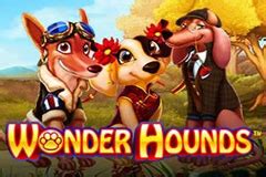 Wonderhounds Bwin